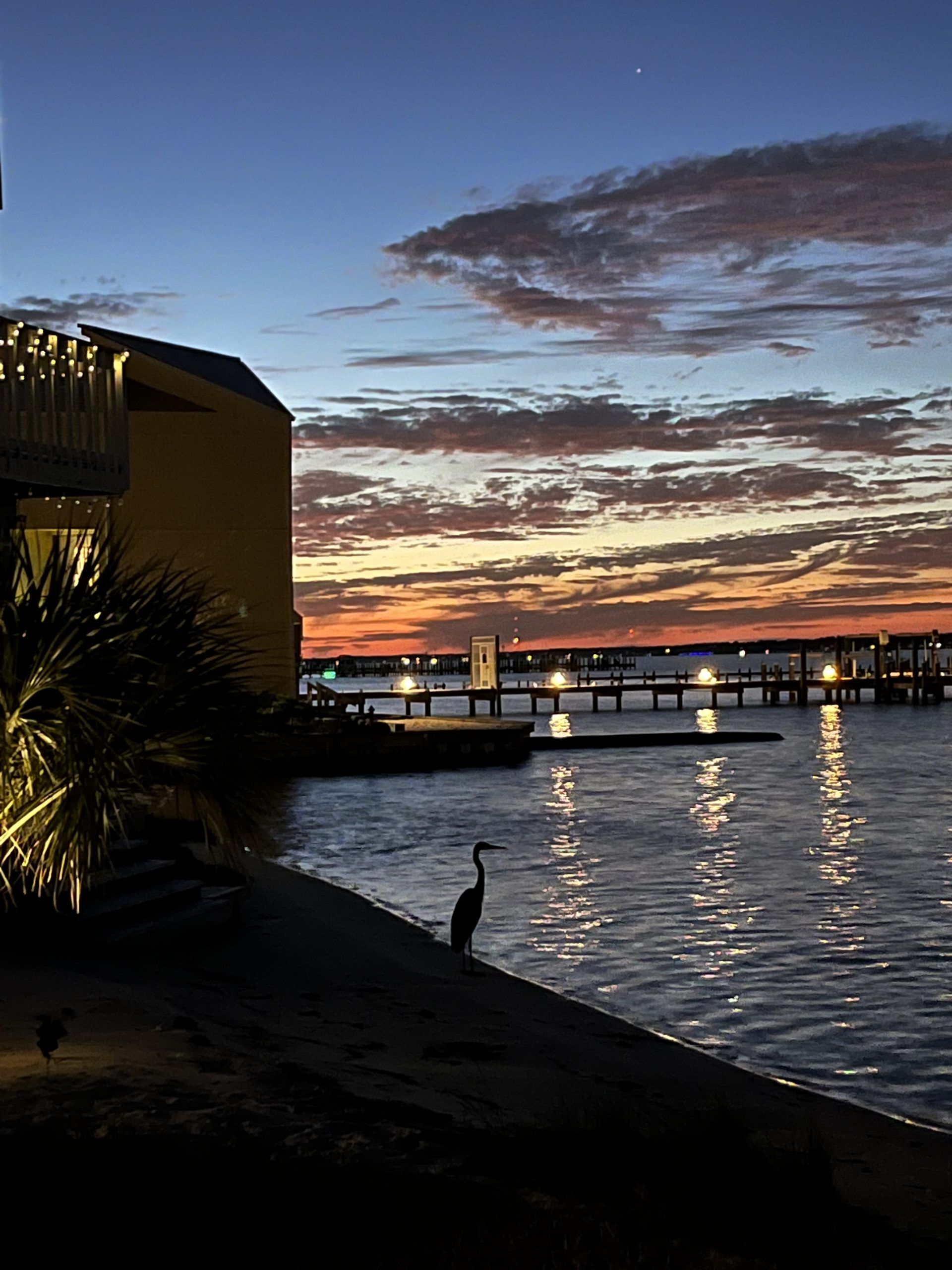 Today's Photo of the Day comes from Leslie Burke. Leslie took this beautiful nighttime photo at Sandcastle Townhomes on Navarre Beach. 🌅