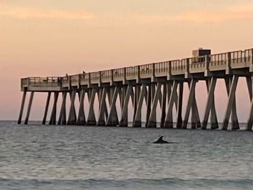 Good morning and happy Sunday!
This dolphin was spotted at sunrise Friday morning at Navarre Beach. Share your dolphin photos with us by emailing them to editor@navarrepress.com. 
Today's Photo of the Day was taken by Maryetta Casey.