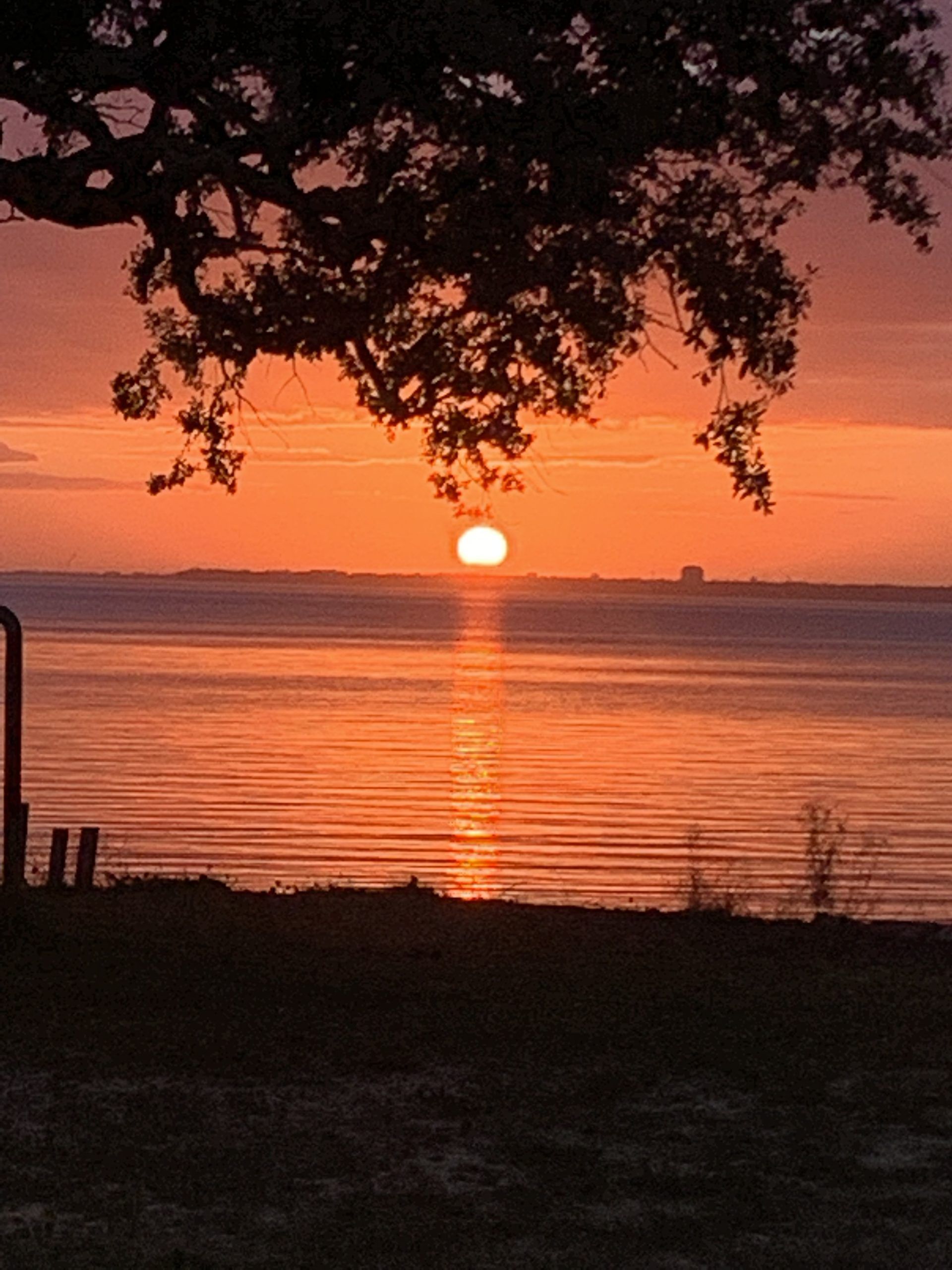 Today's Photo of the Day comes from Mike Conrad. 

"I took this photo looking out on Escambia bay Thanksgiving 2021," Mike said.