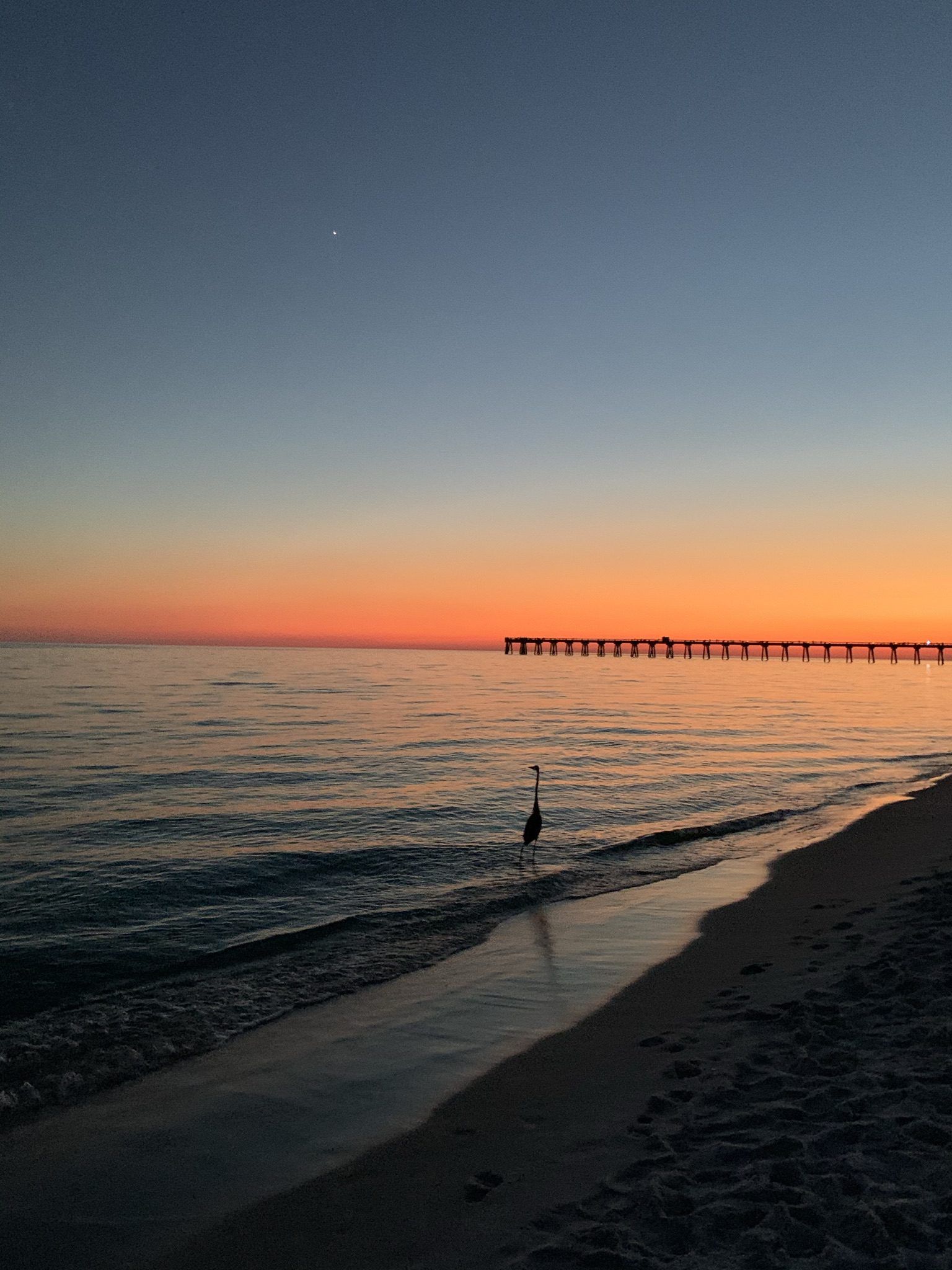 Today's Photo of the Day comes from Olivia Boggs. Olivia took this absolutely stunning photo on Navarre Beach in early November. A fading sunset, crystal clear skies, the moon, a heron and the Navarre Pier all make an appearance! 🌅