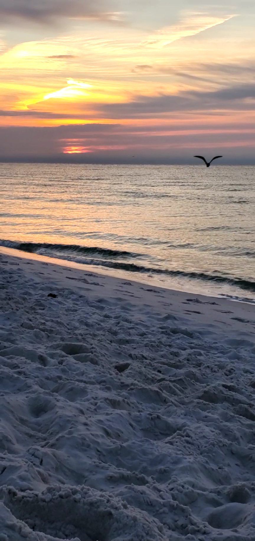 Today's Photo of the Day comes from Irena Zaal. Irena took this beautiful photo of a sunrise while walking on Navarre Beach. 🌅