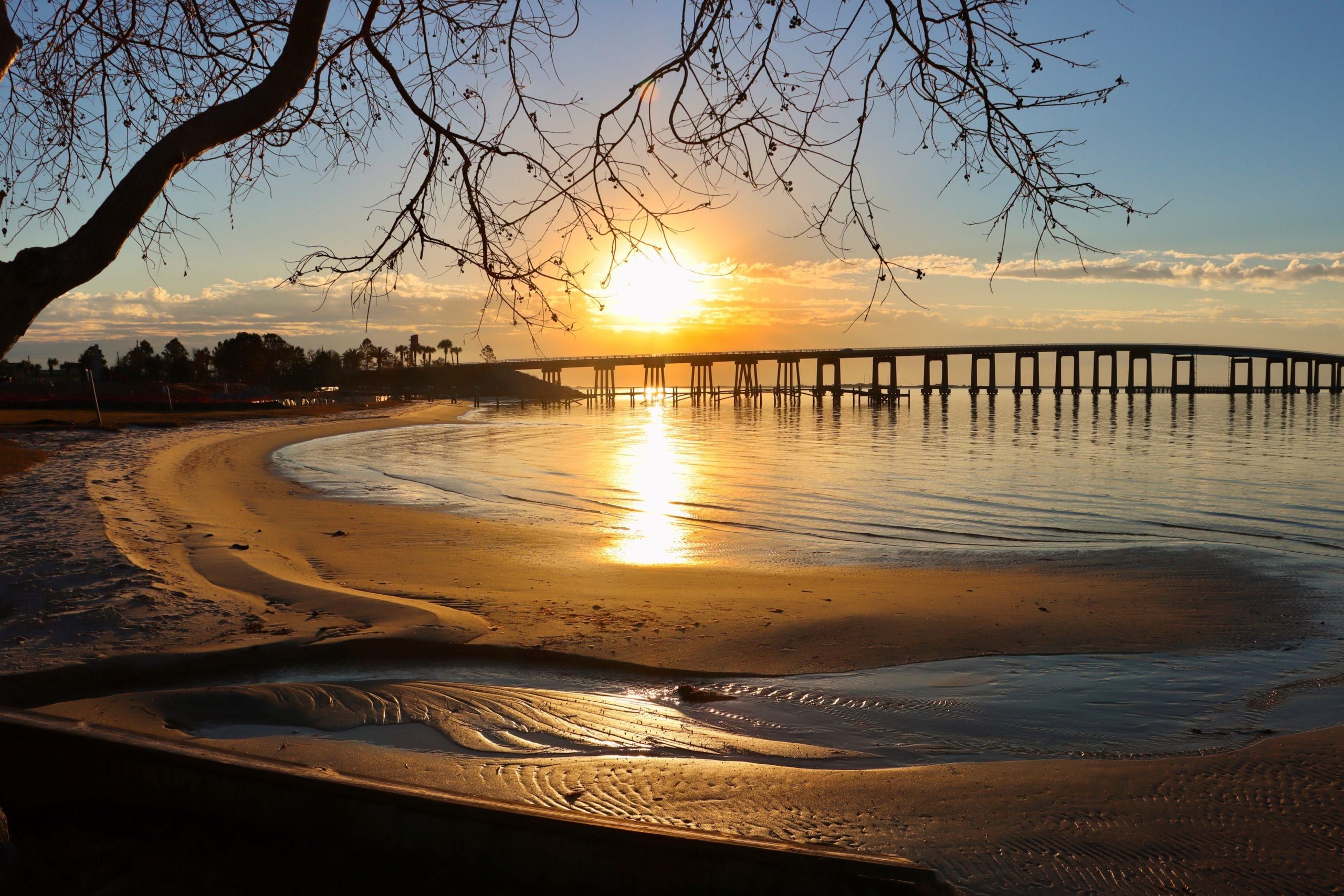 Bridge Sunset Tree - Melissa Johnson