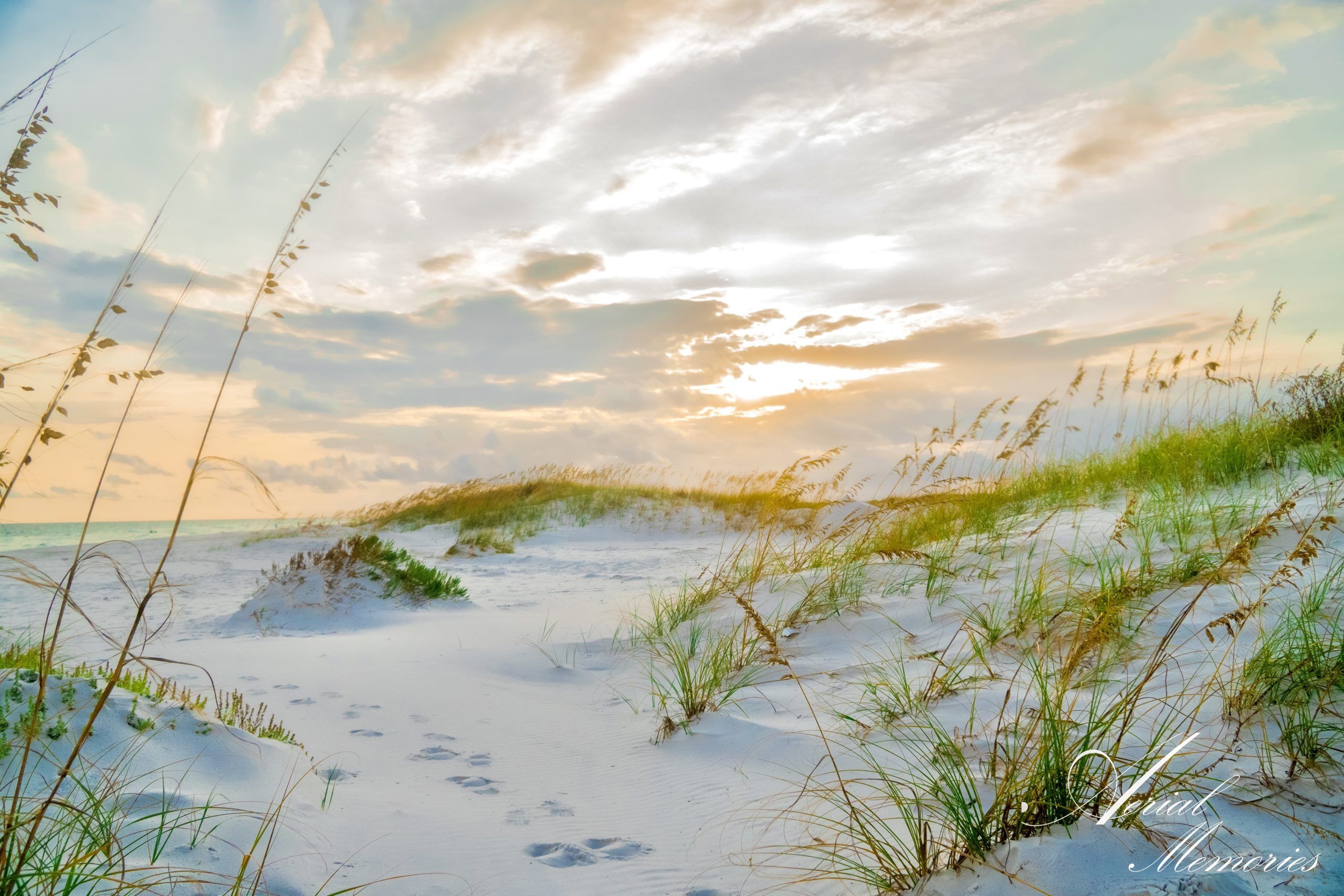 Today's Photo of the Day was submitted by Kyle Simmons. These are the dunes beyond Opal Beach around sunset, which makes for a beautiful scene!