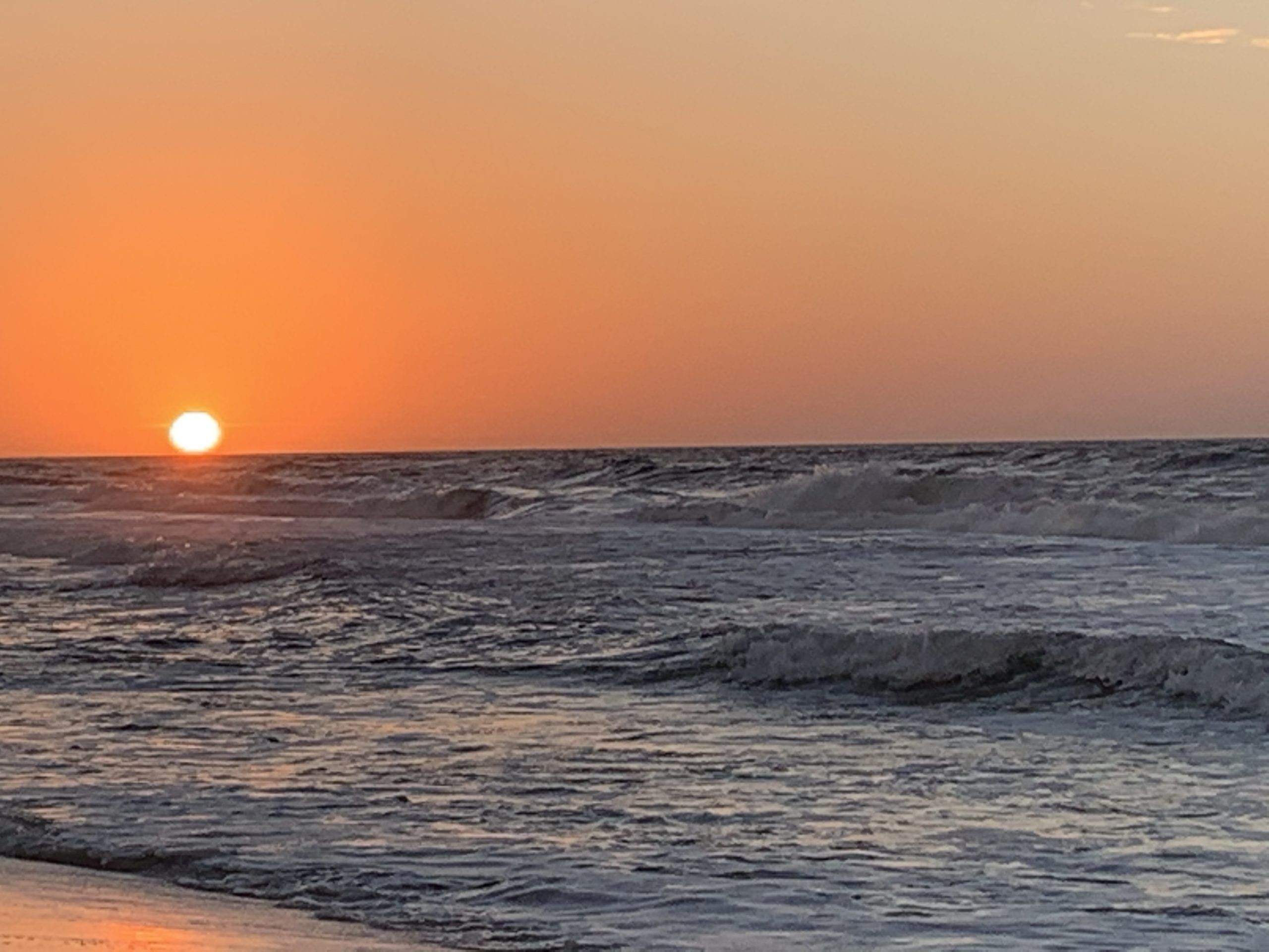 Photo by Pamela Coons