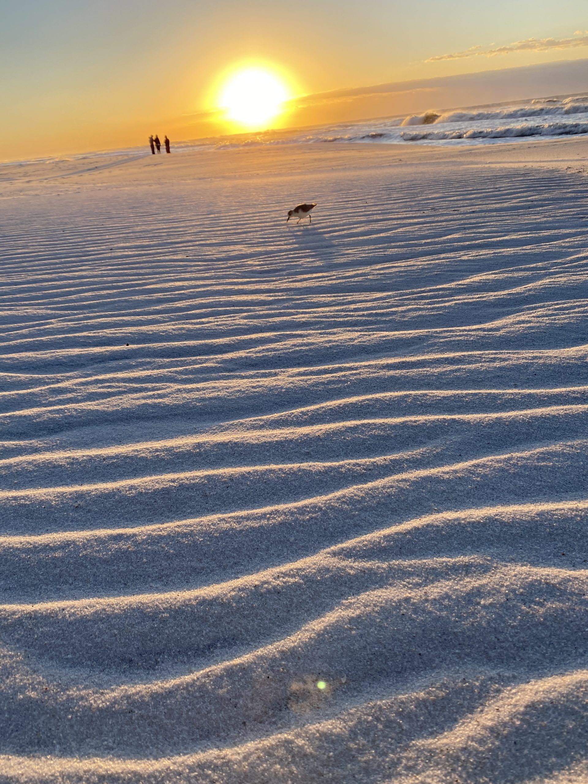 Today's Photo of the Day comes from Deanna Heikkinen. Deanna took this photo at sunrise while walking on Navarre Beach.

"The wind made a gorgeous pattern in the sand," Deanna said.