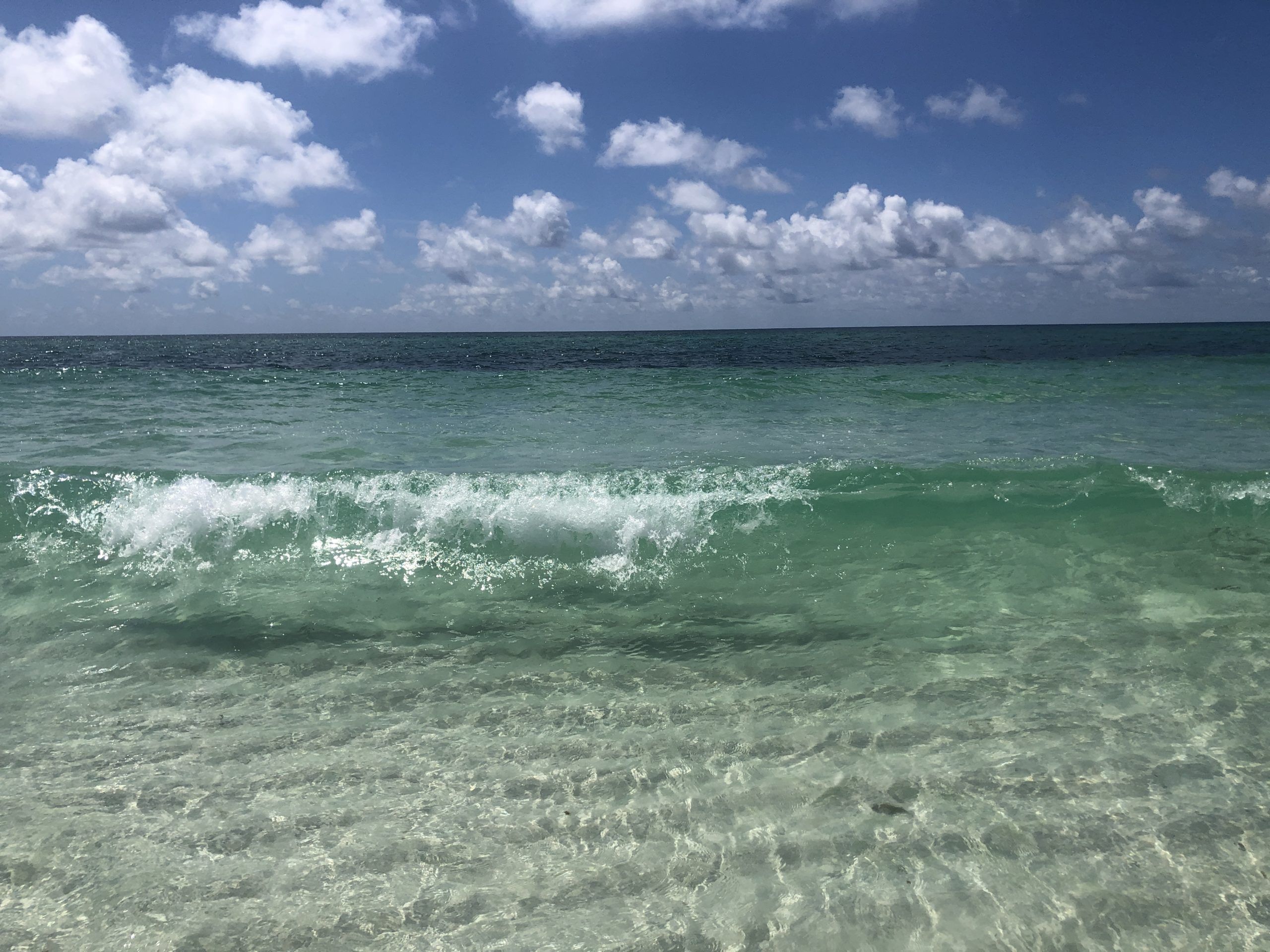 Today's Photo of the Day illustrates the beauty of the Emerald Coast. 
 
"I took this picture of the beautiful clear waters August 19 when I spent a week at Navarre Beach with a group of friends. Fabulous week," said Regina Long.