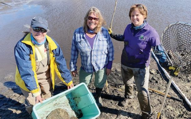 Navarre Park turtles wrangled, relocated