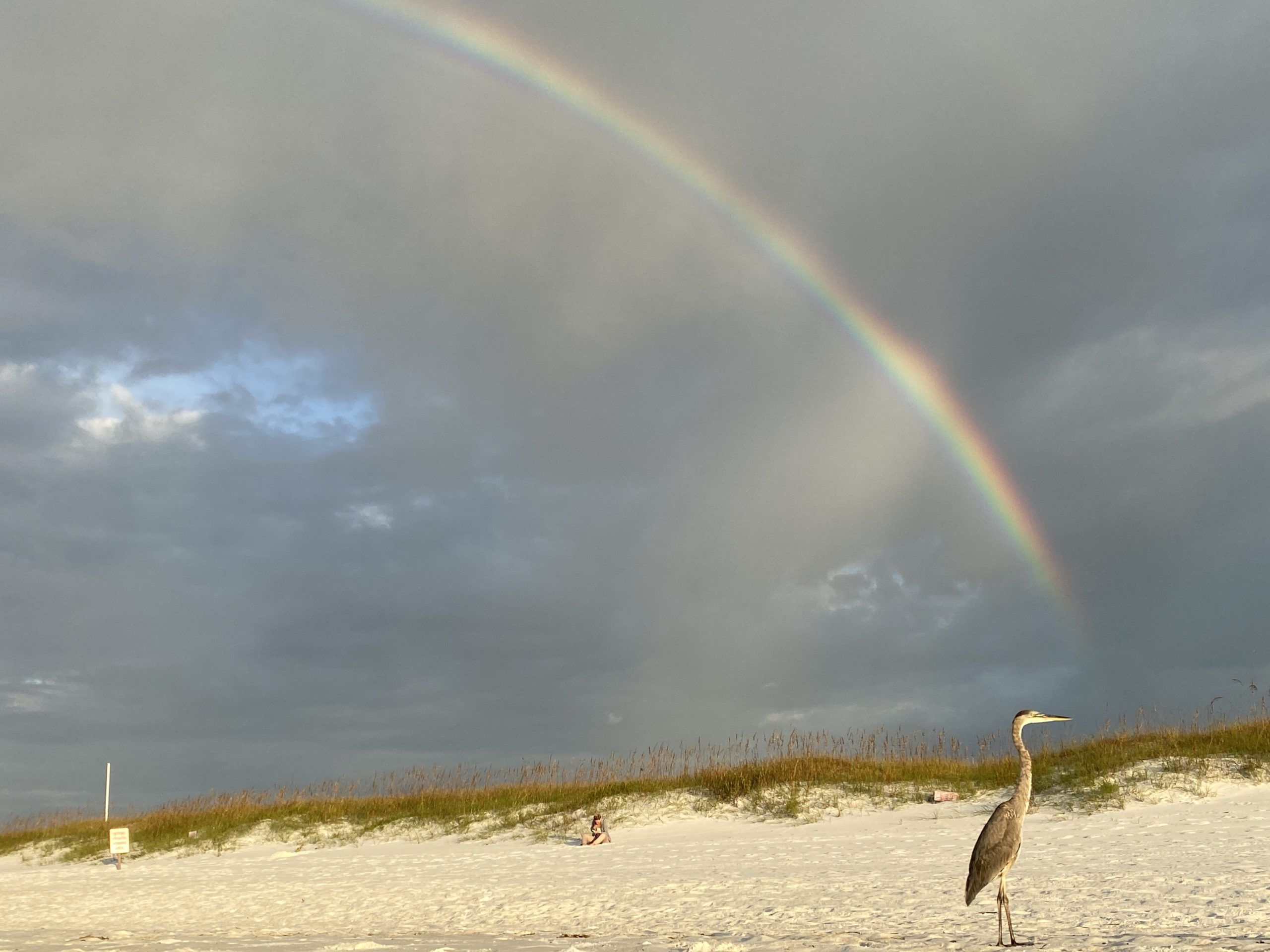 Today's Photo of the Day comes from Deanna Heikkinen.

"A birders pot of gold at the end of the rainbow!" 🌈