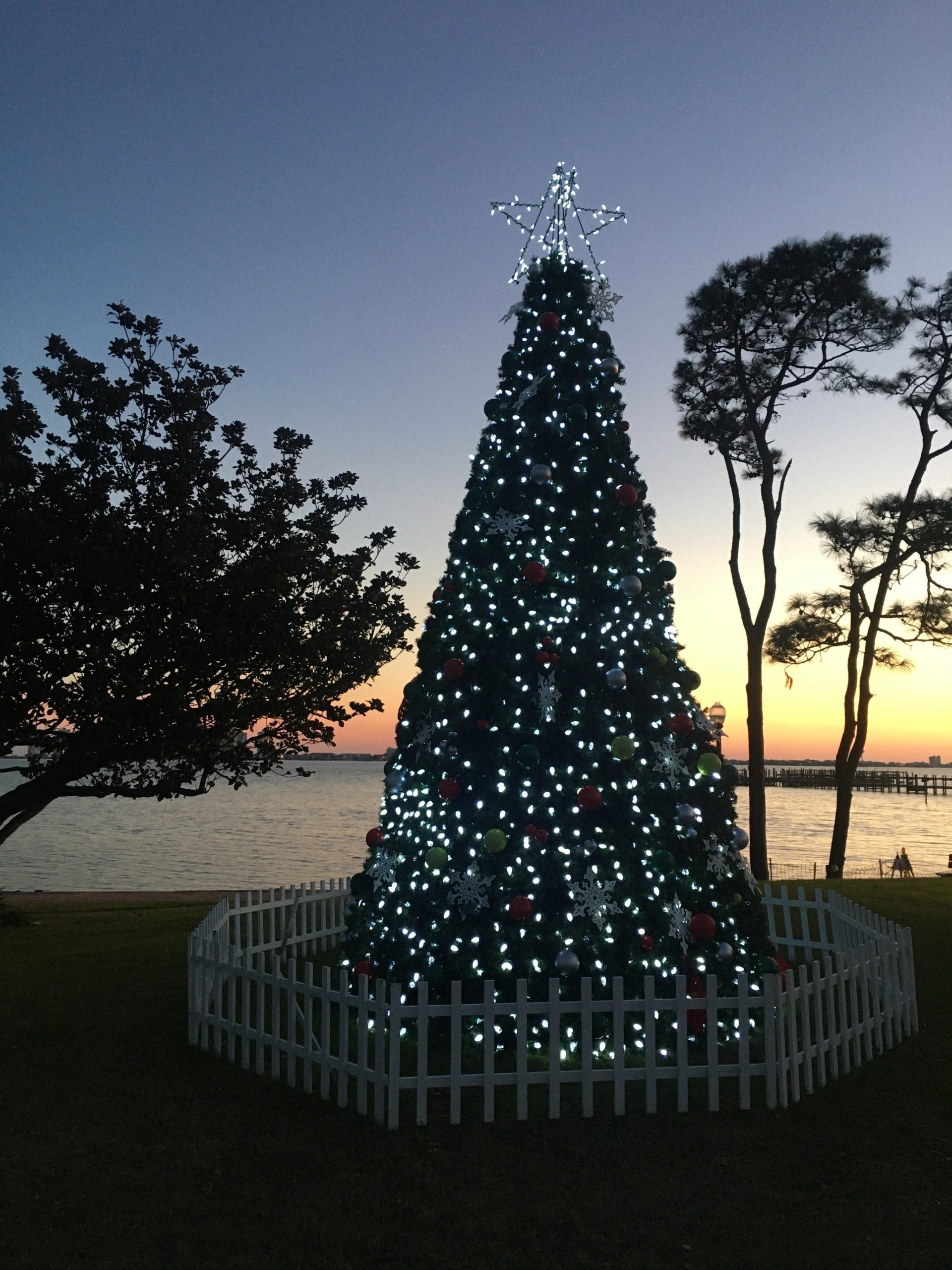 Photo of the Day Navarre Press