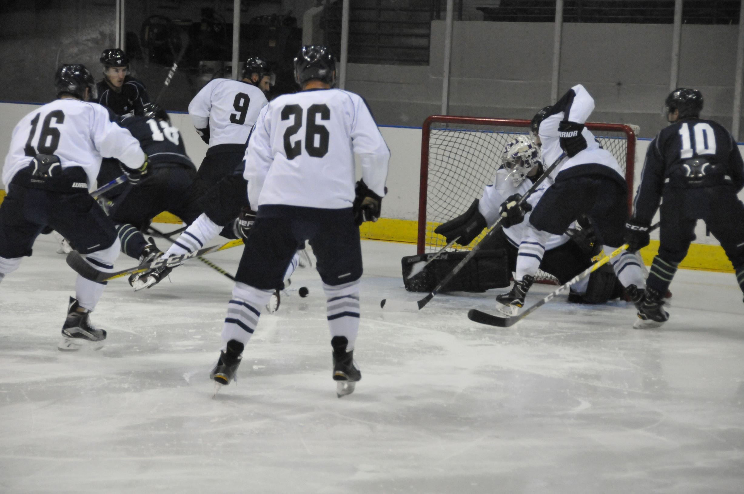 Ice Flyers tickets set to go on sale Navarre Press