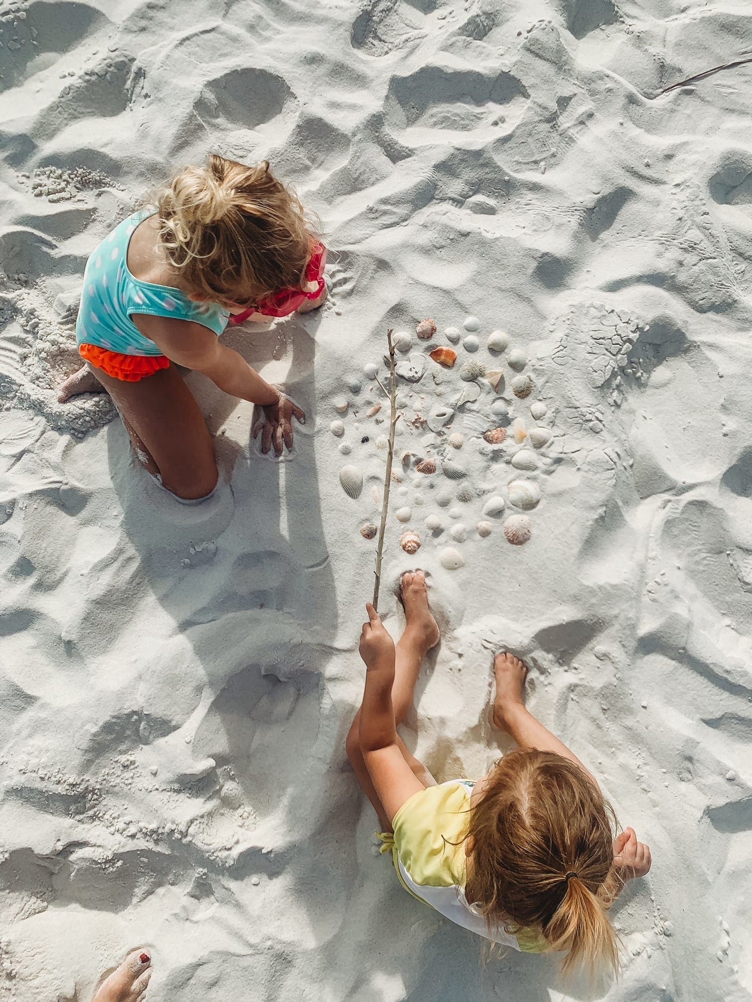 1...2...3... How many shells do you see?
Today's Photo of the Day was submitted by Rachael Hill and reminds us to enjoy the little things in life.