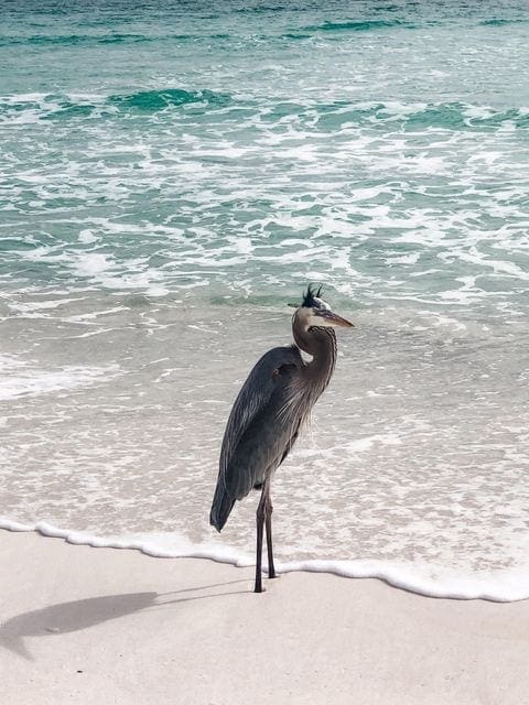 Bad Hair Day Alert ⚠️
A freezing cold and windy morning is ahead of us Navarre, so bundle up and use hair spray today.
Today's Photo of the Day was submitted by Dianna Hawes.