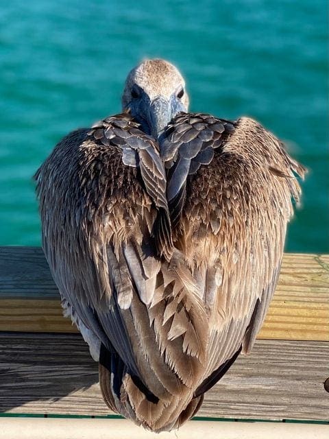 Photo taken by Kristen Fitzsimmons