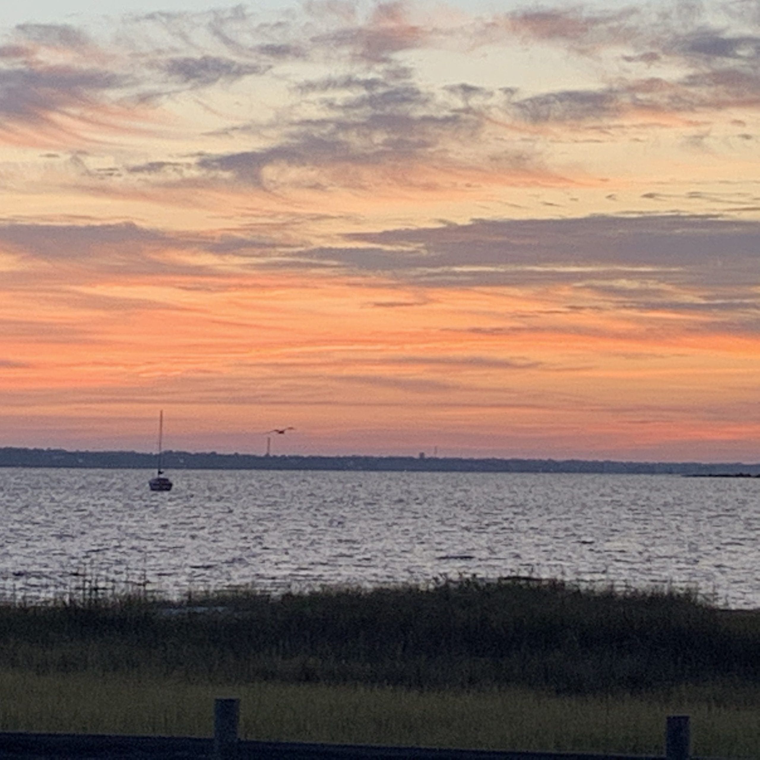 Photo by Susan Davis