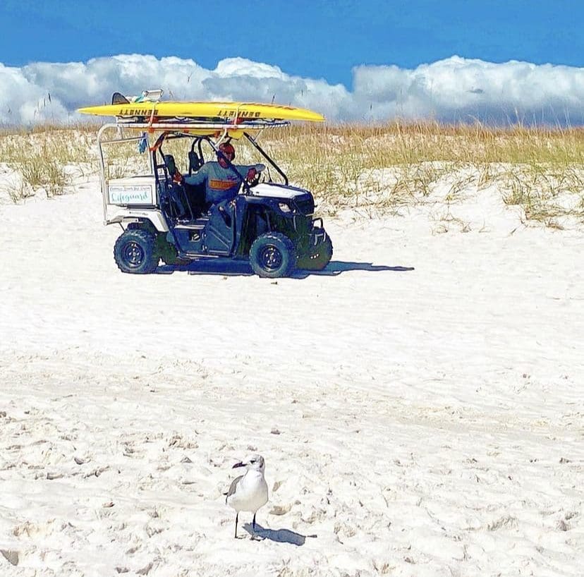 Photo by Stacy Musgrove