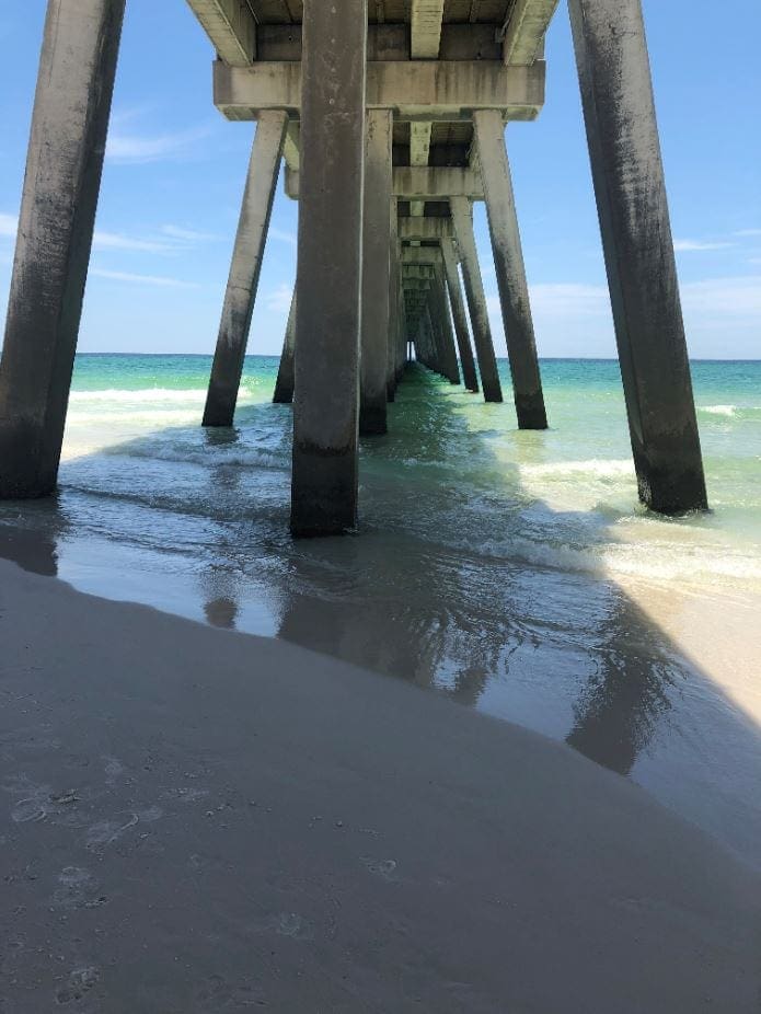 Photo by LaDonna Bradford