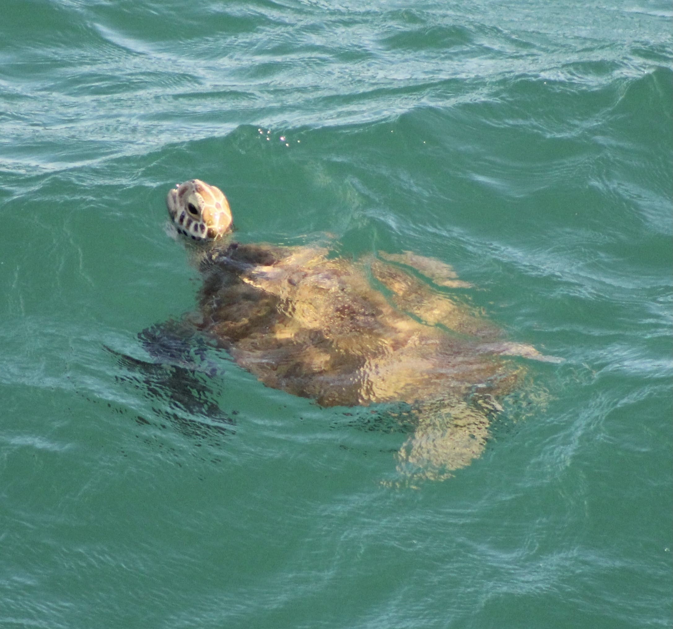 Photo by April Mayben