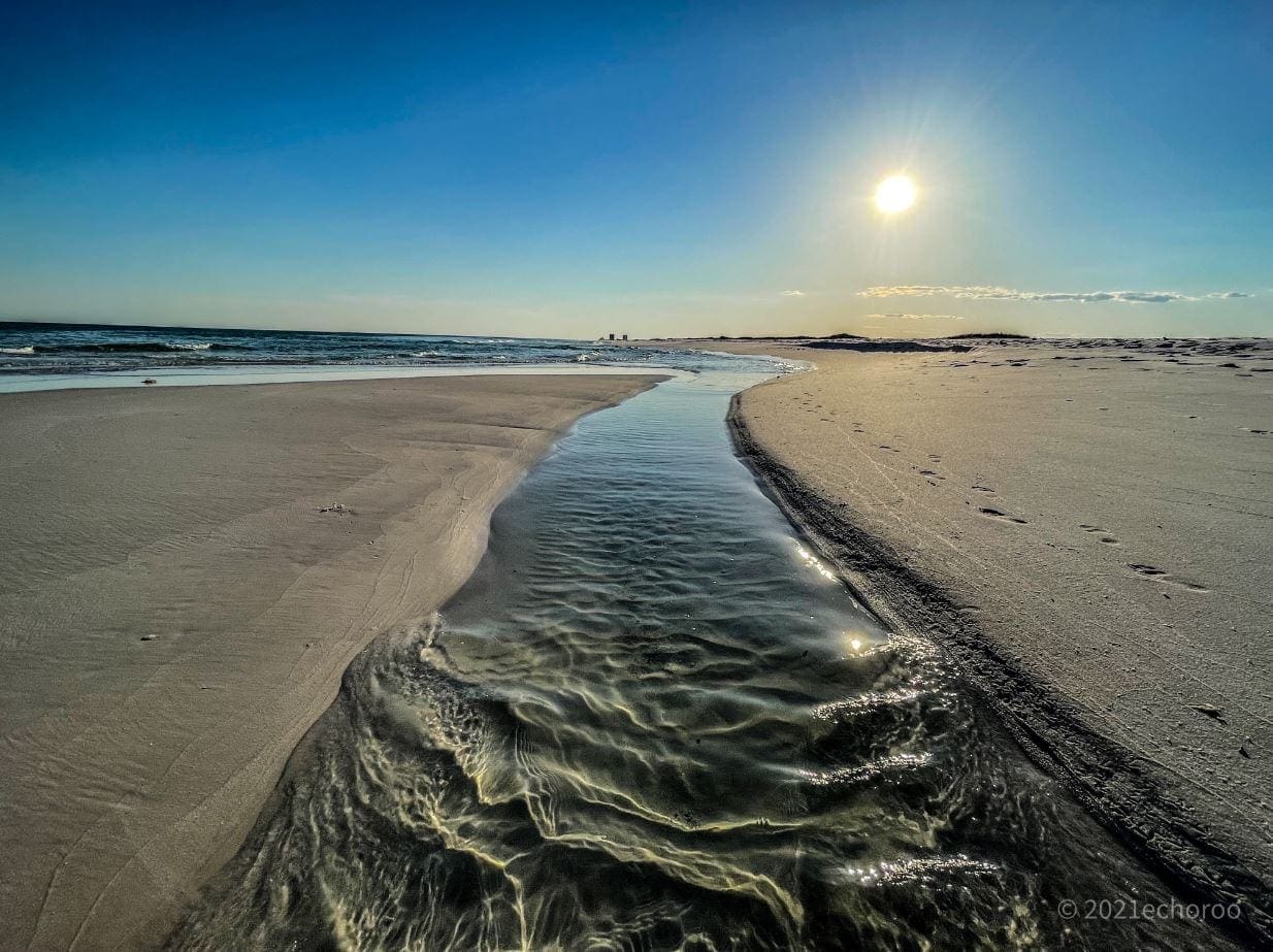 Photo by Echo Roo McNeill