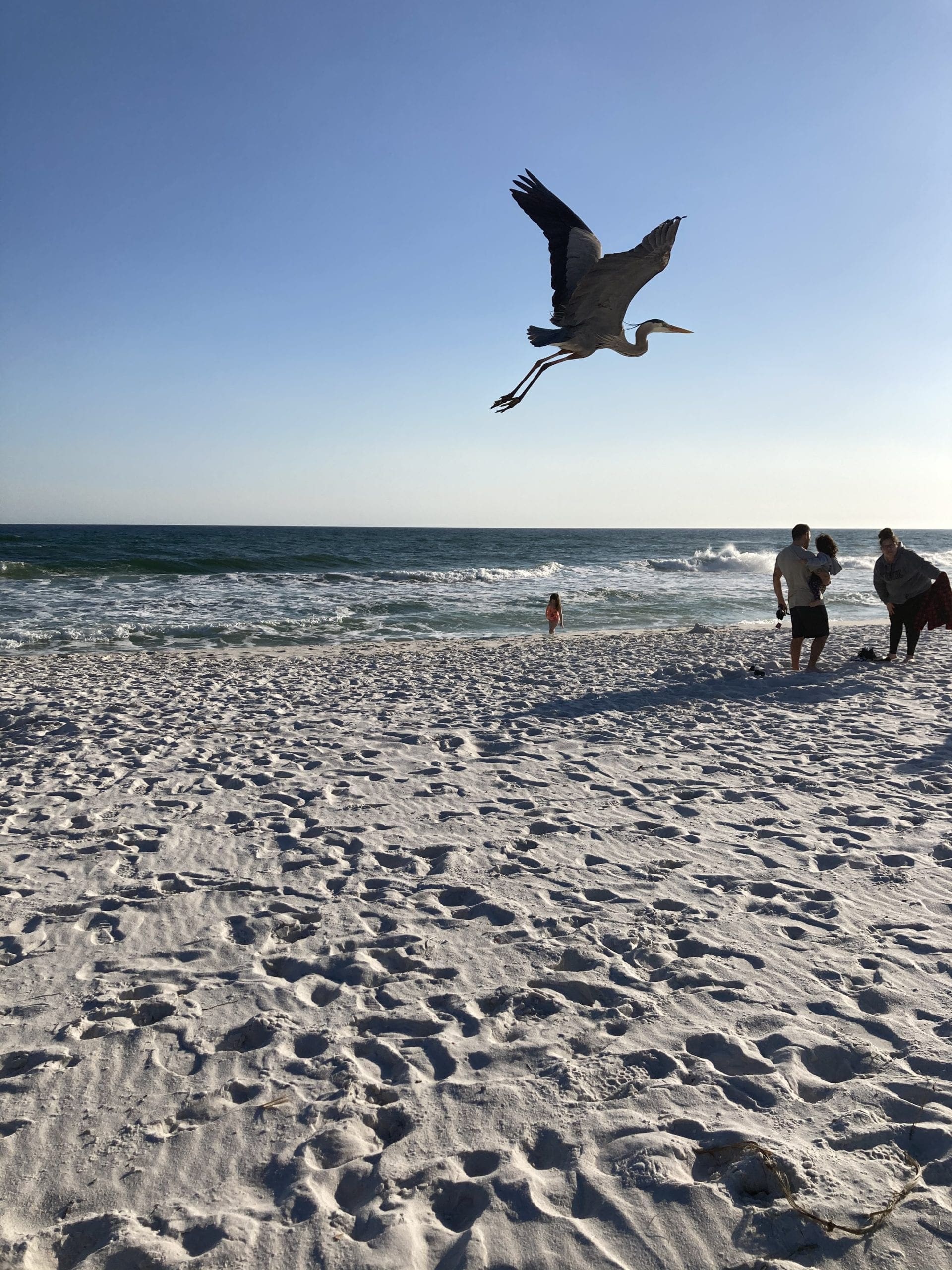 Photo by Nicole Shaddix