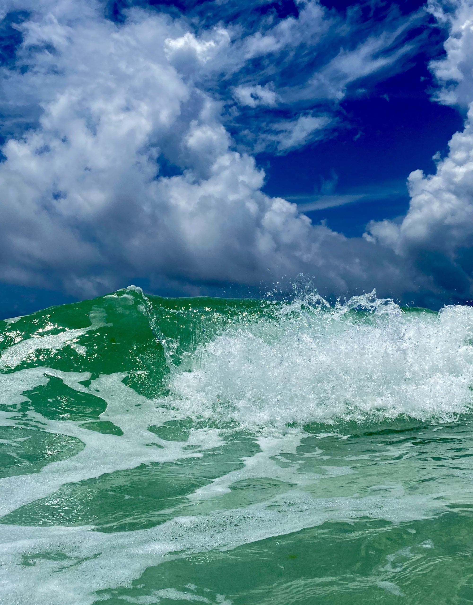 Photo by Staci Danko