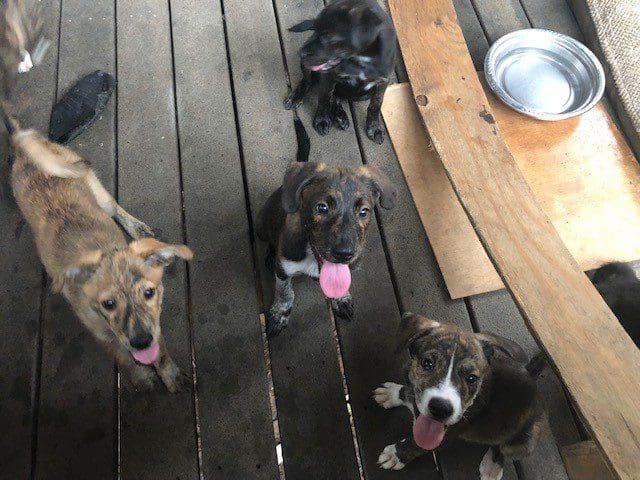 Photo by LaTonya Moyer