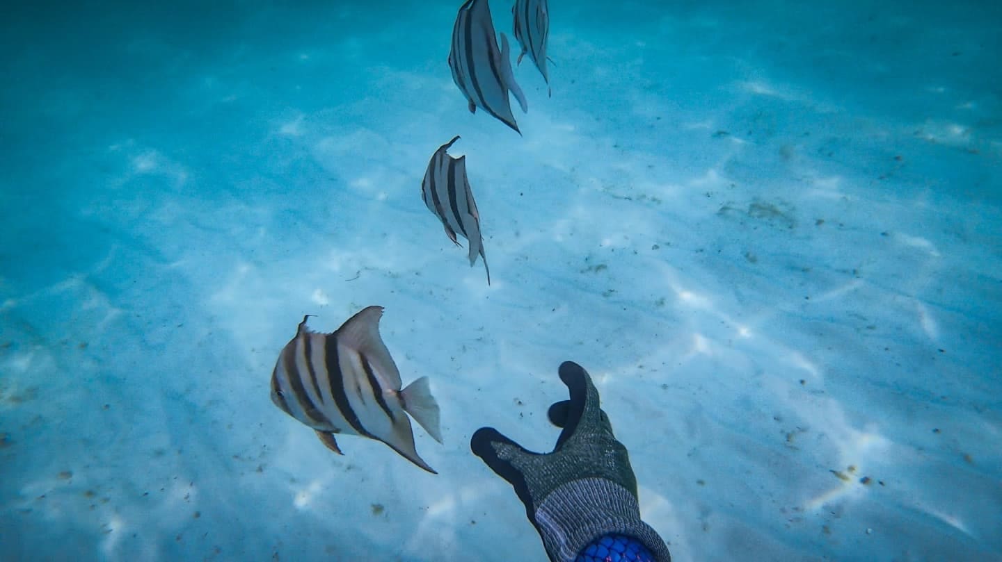 Photo by Lauren Quinones