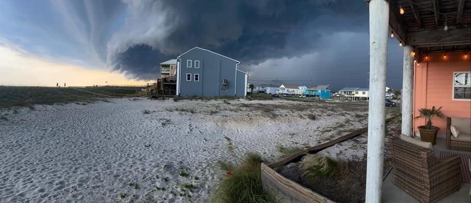 Photo by Michele Short