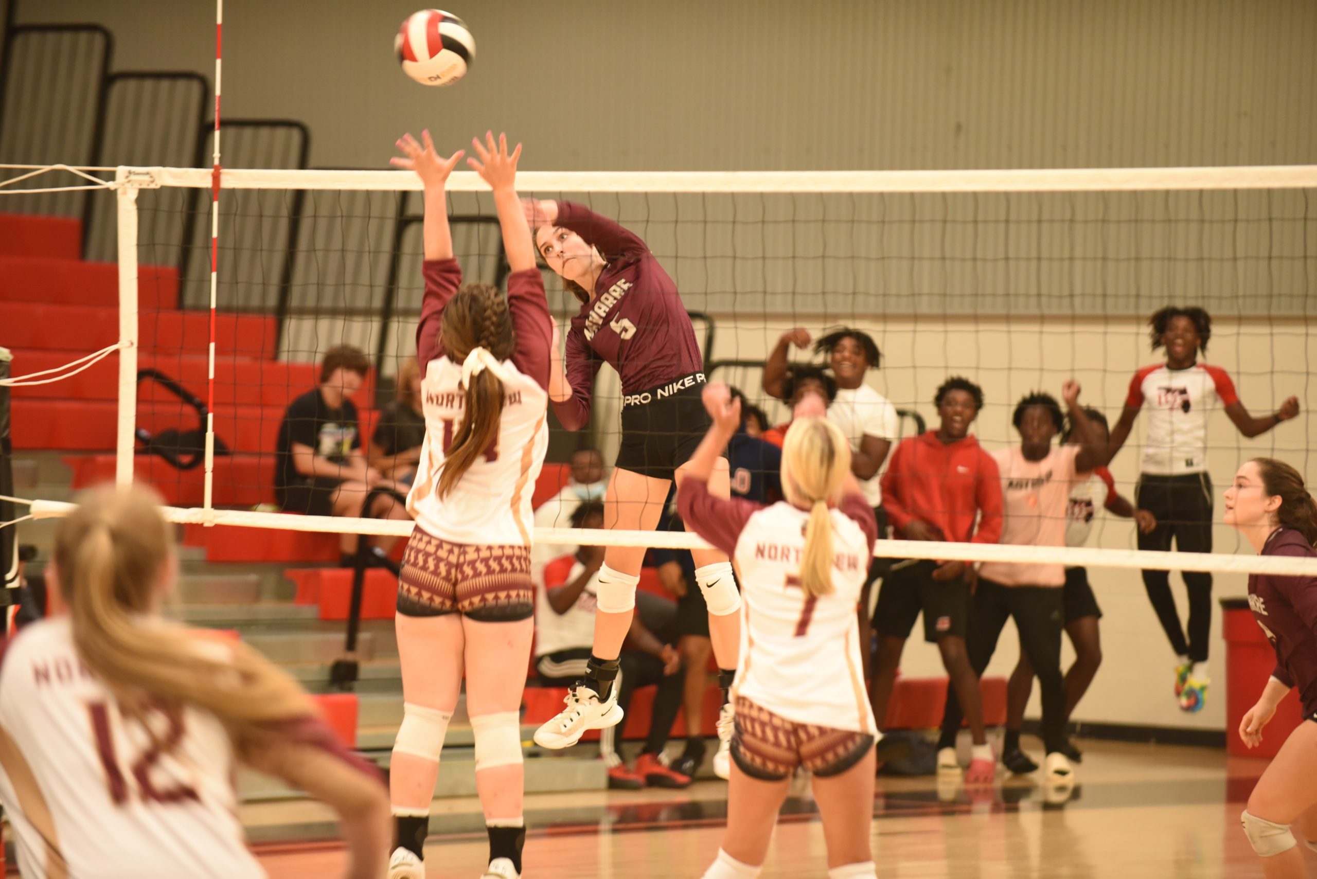 Navarre dominates preseason volleyball matches Navarre Press