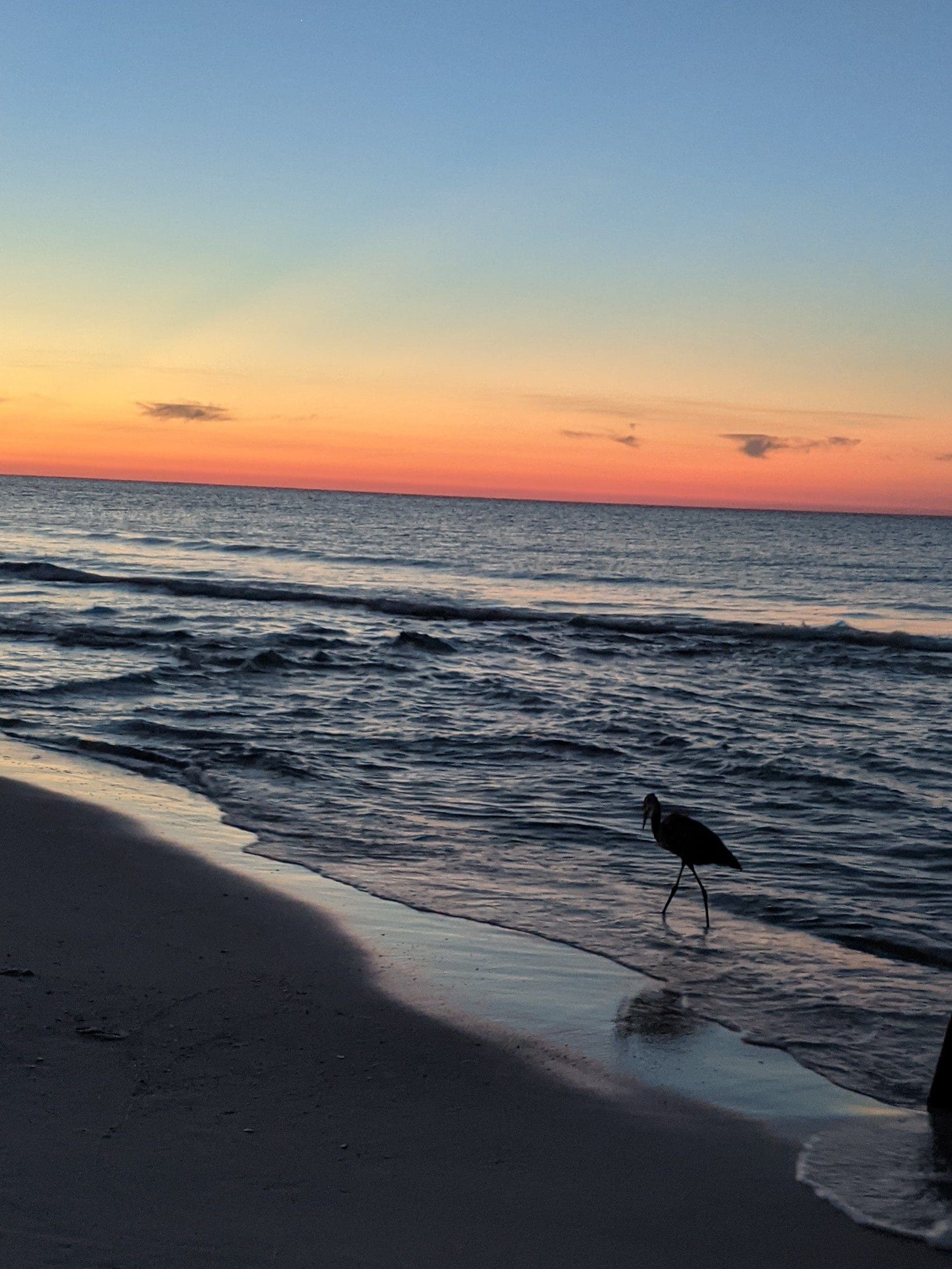Today's Photo of the Day comes from Andrea Patterson. 

"This photo was taken at sunrise on Oct 10, 2021, on Navarre Beach by me. What a beautiful way to start my day!"