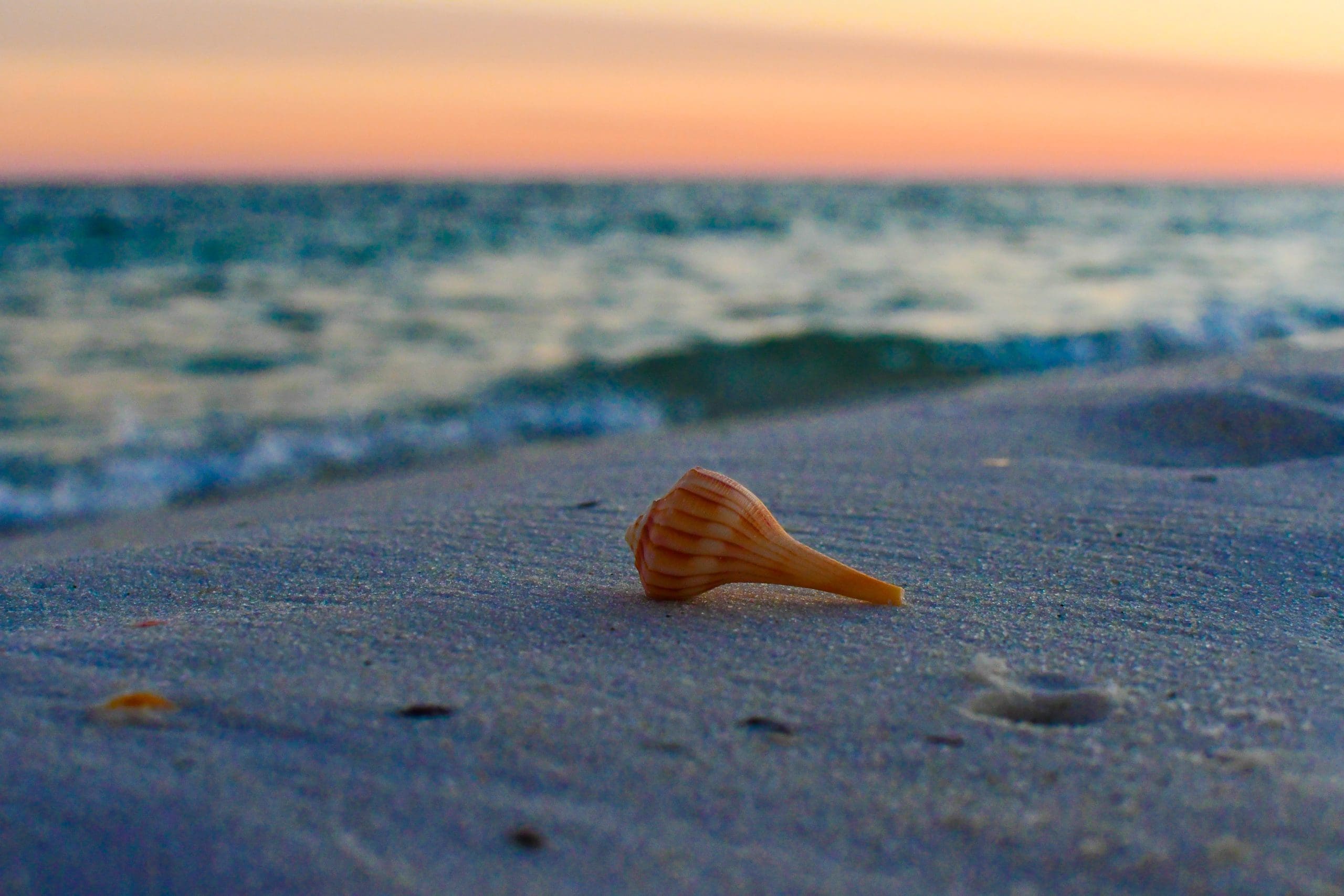 Today's Photo of the Day comes from Scott Brown. 
"This photo was taken at sunset on the last day of our visit to Navarre Beach," Scott said.