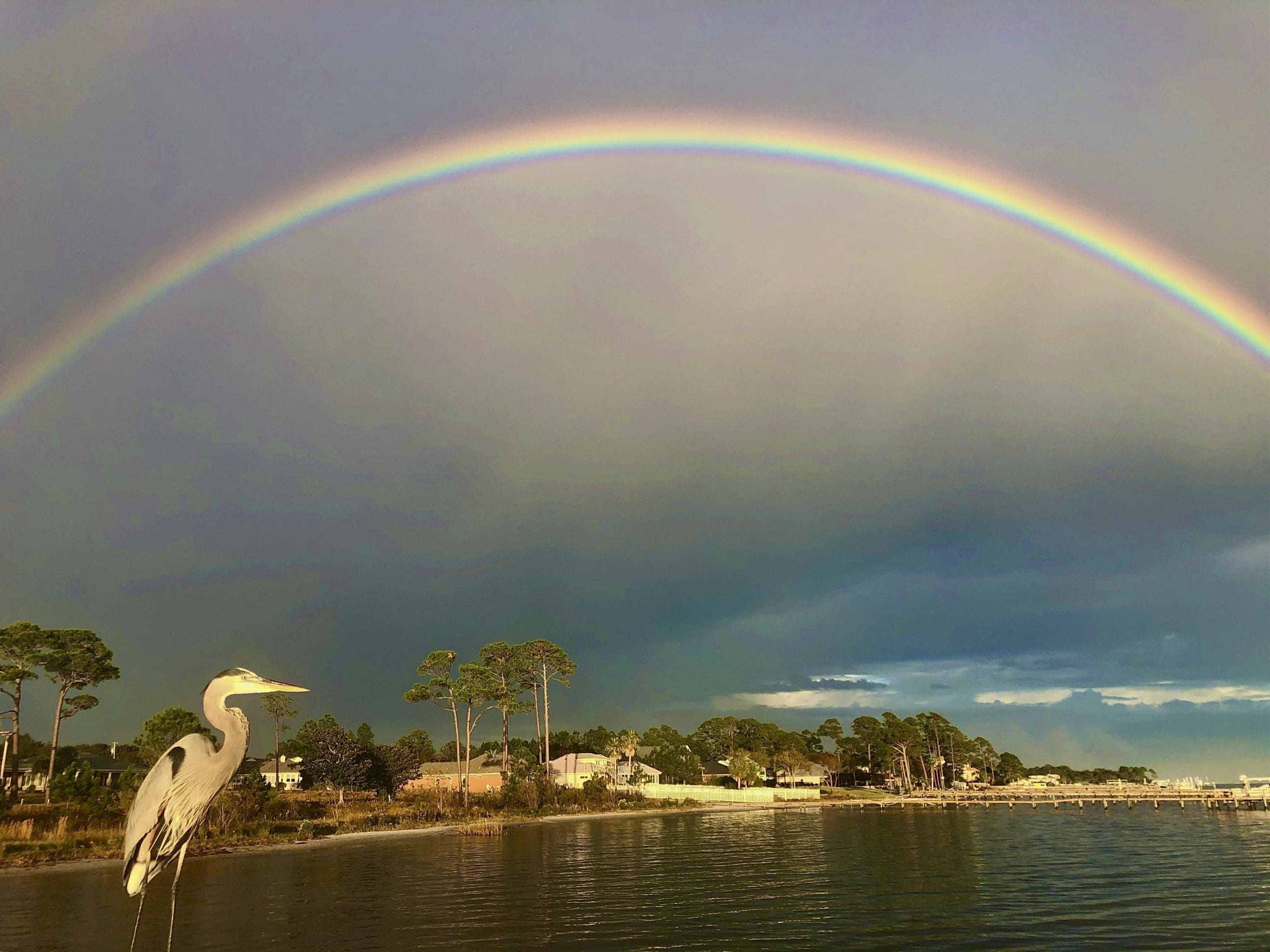 Today's Photo of the Day comes from Daniel Juarez Jr. Daniel got a two-for-one special with this rainbow and heron combination. The photo was taken at the Holley by the Sea Recreational Center pier. 🌈