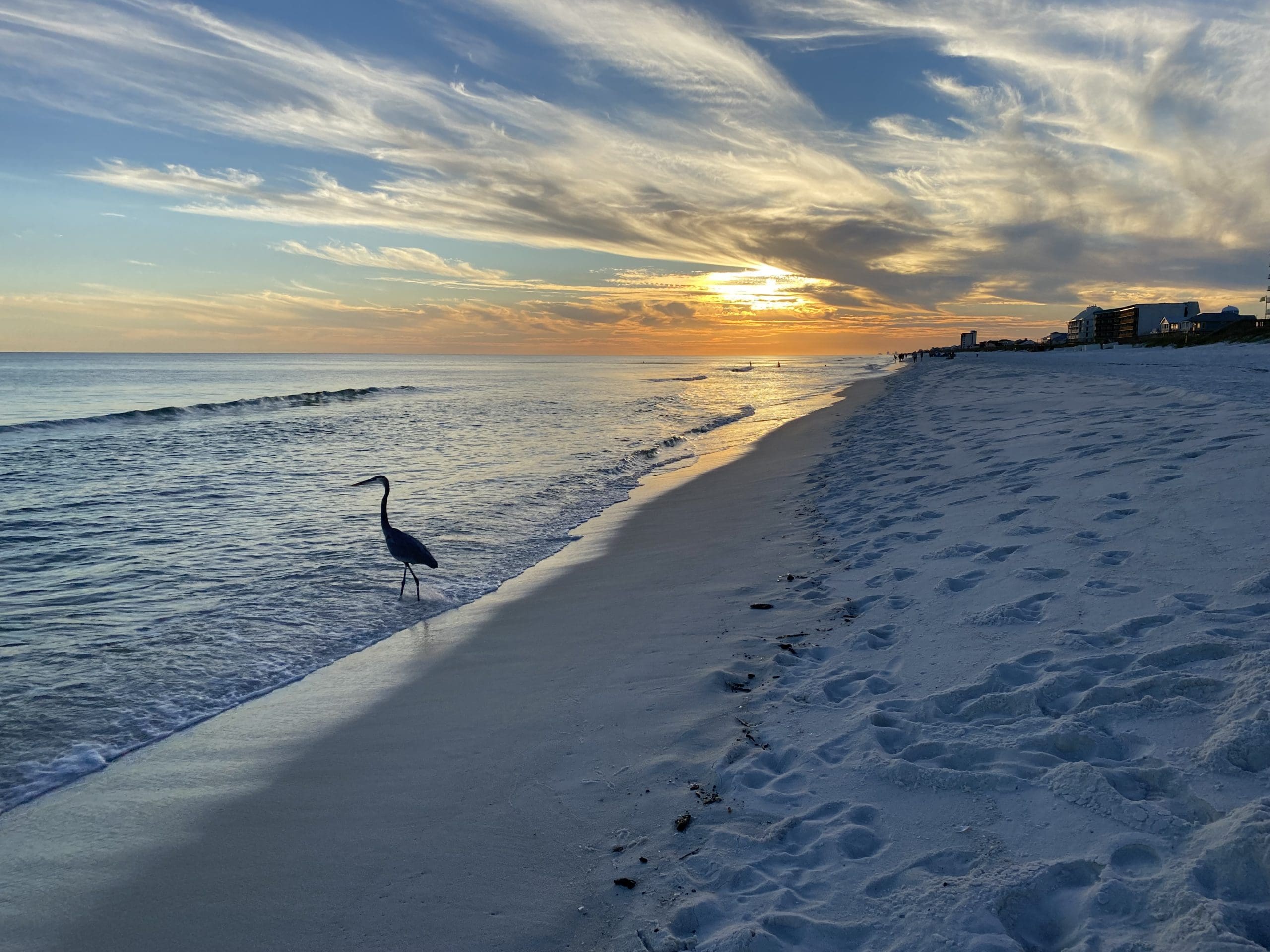 Today's Photo of the Day comes from Maria Werries.

"This photo was taken by me the evening of October 26th. I just moved to the area and am looking to make new friends. It was calming walking along the shore with my fellow bird friend that evening." 🌅