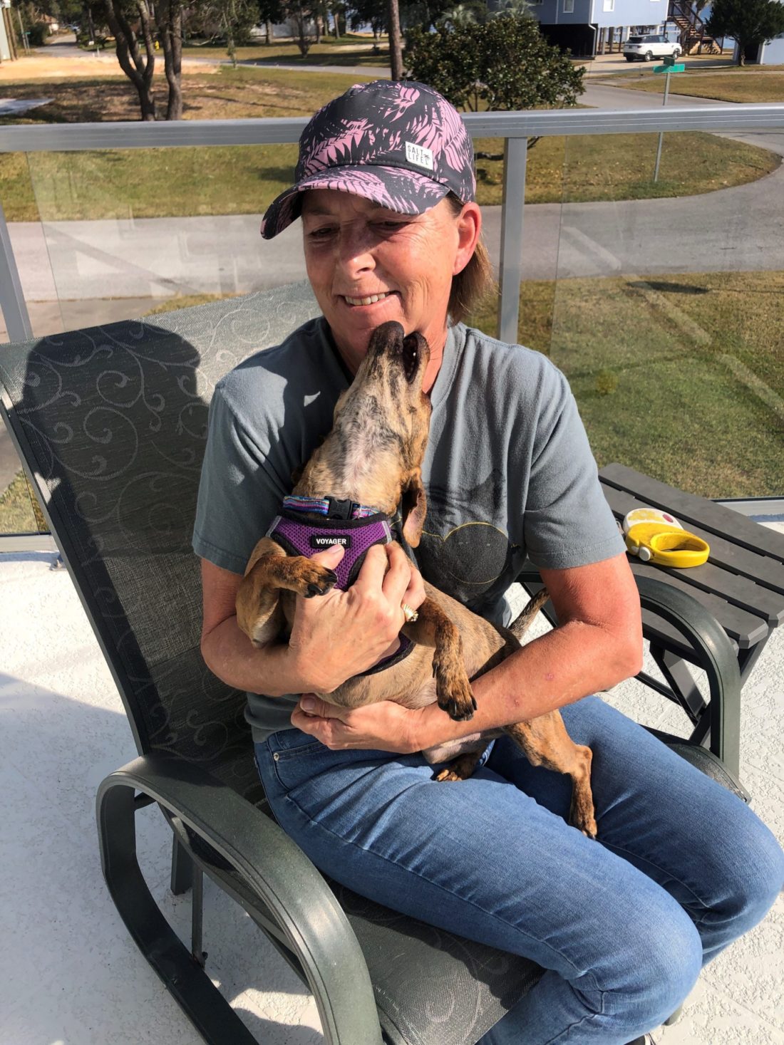 20 years later After taking care of Navarre’s pets for two decades