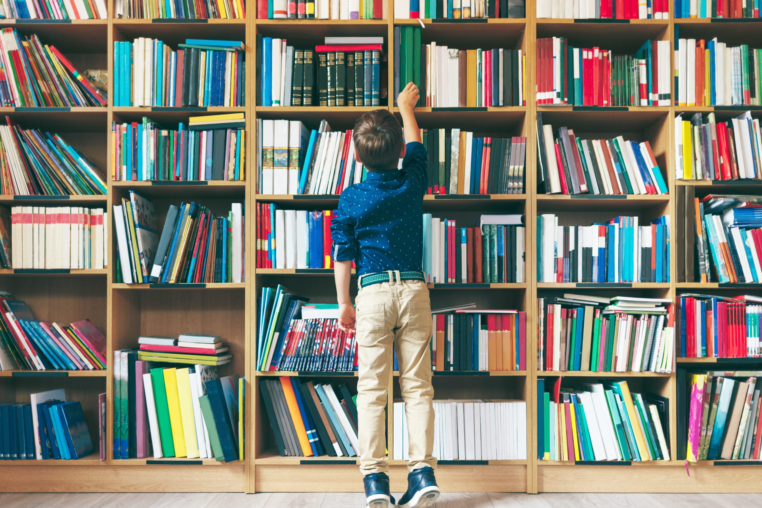 Classroom Library Availability Different School To School, Says Santa ...