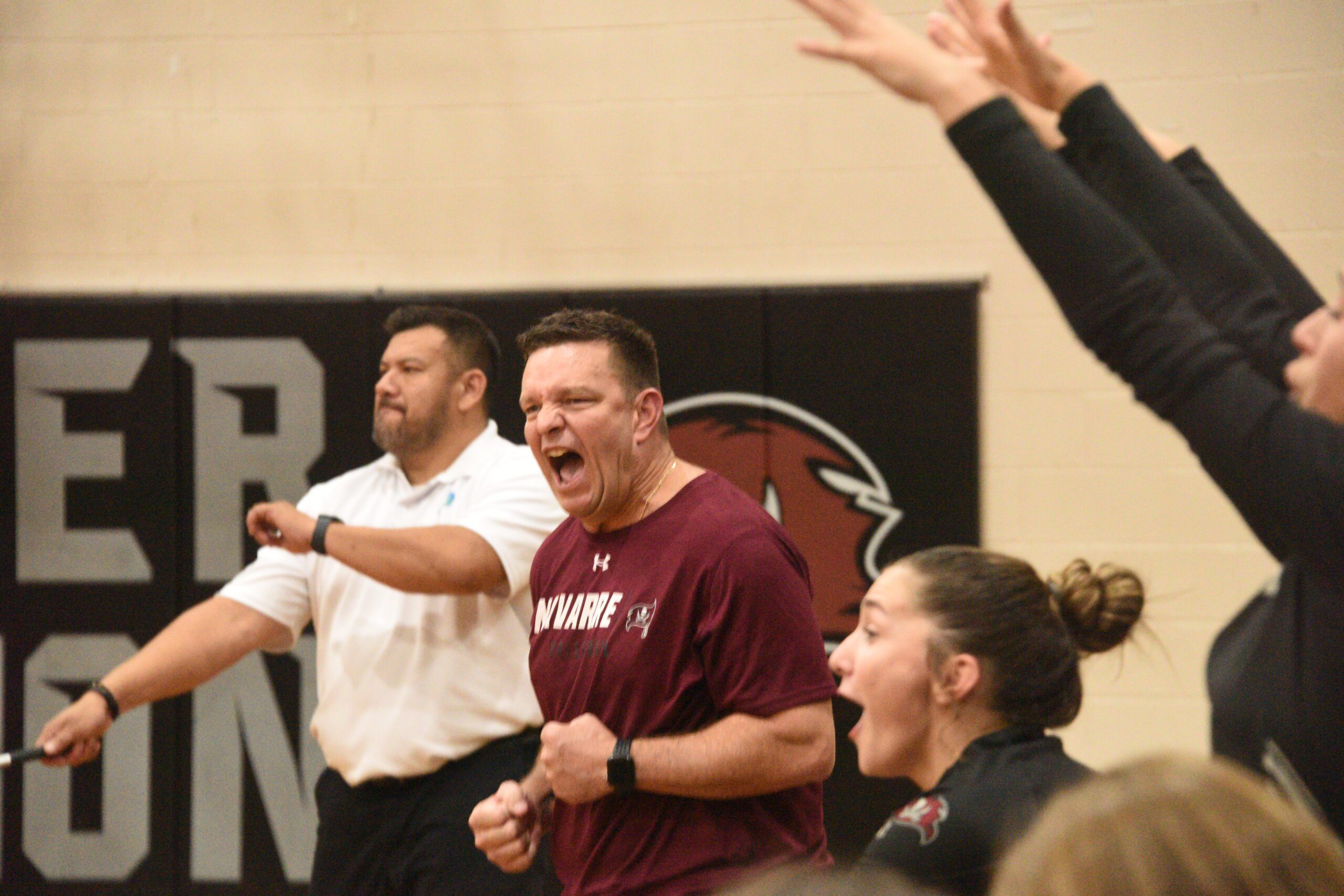 'A Little Reverse Sweep Action' Carries Navarre Volleyball Team Into ...