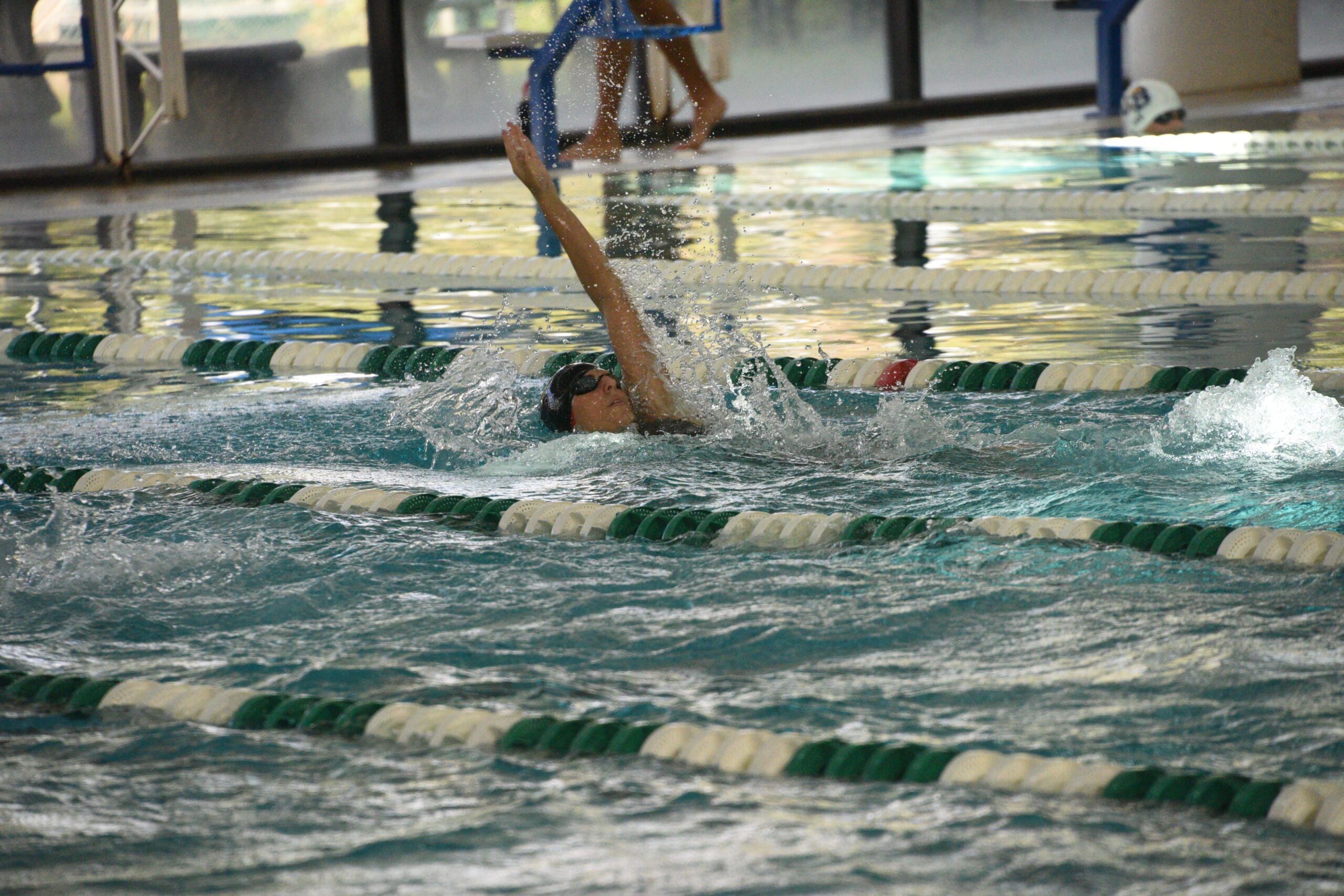 area-regional-swim-meet-recap-navarre-press