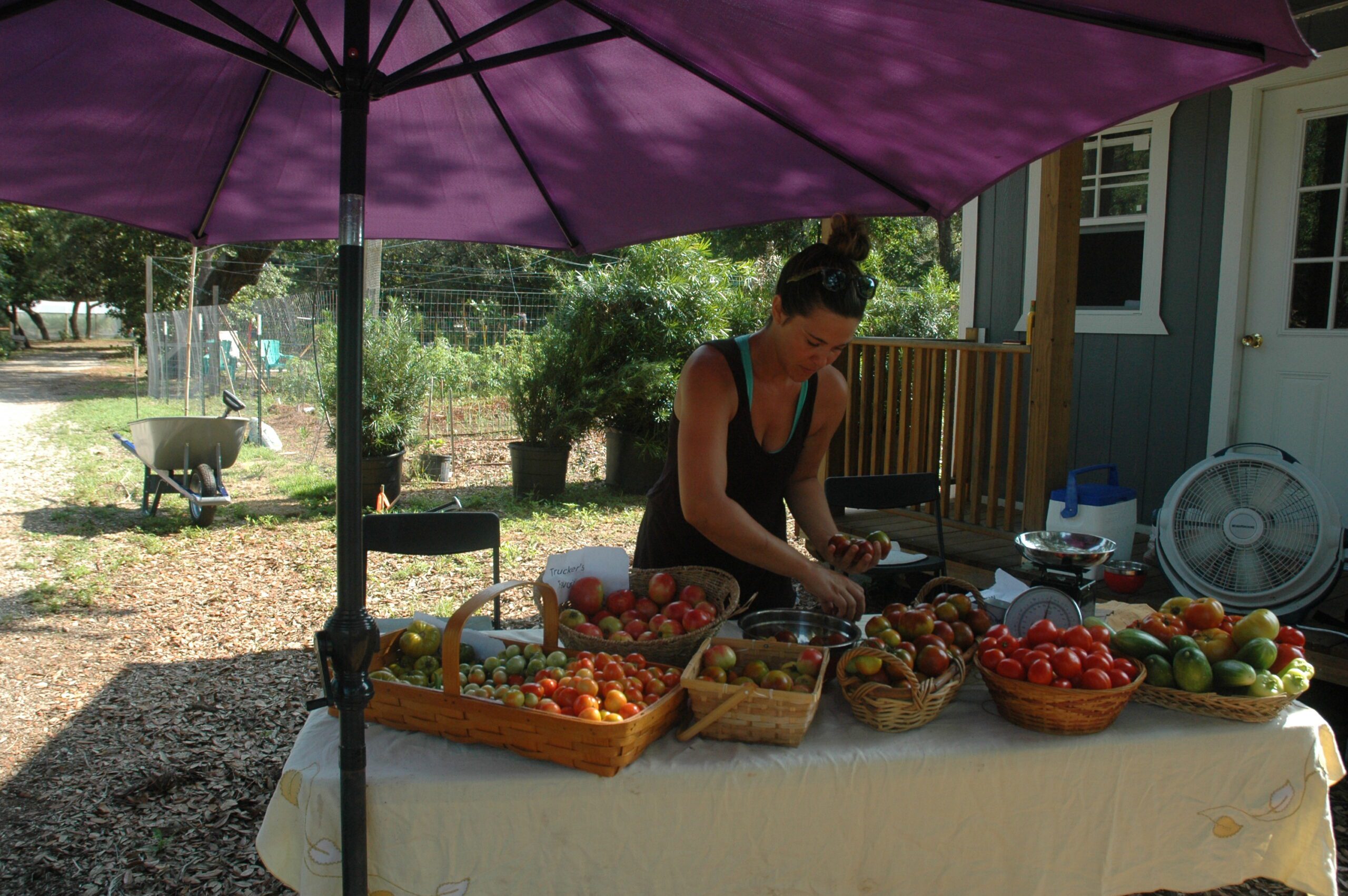 Gulf Breeze farmer sells fresh produce Navarre Press