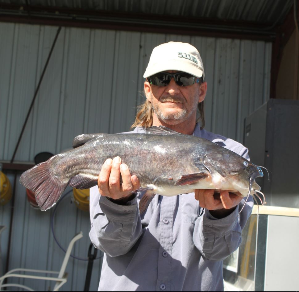 Angler anxious for better data | Navarre Press