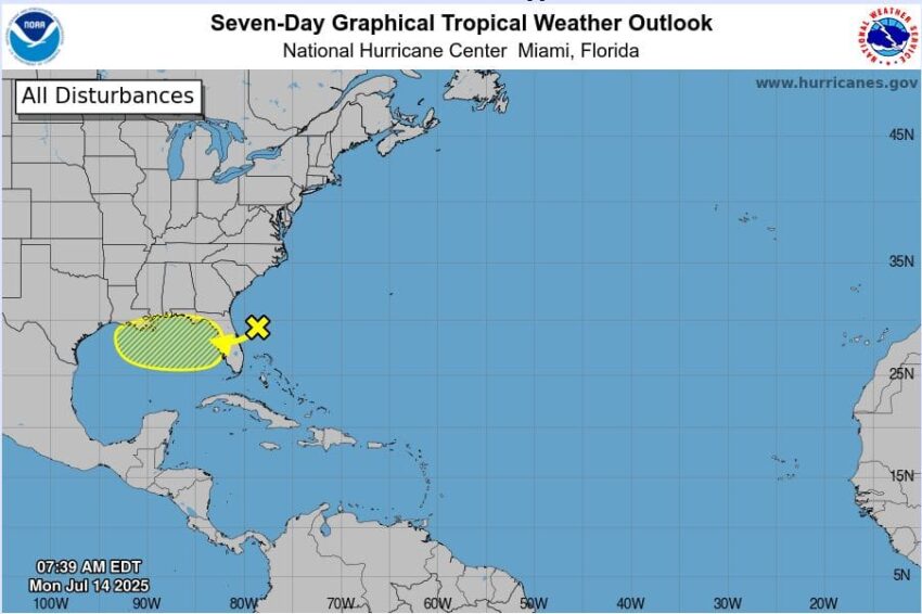 tropical development