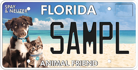 Four Northwest Florida animal groups receive combine $95K in grants