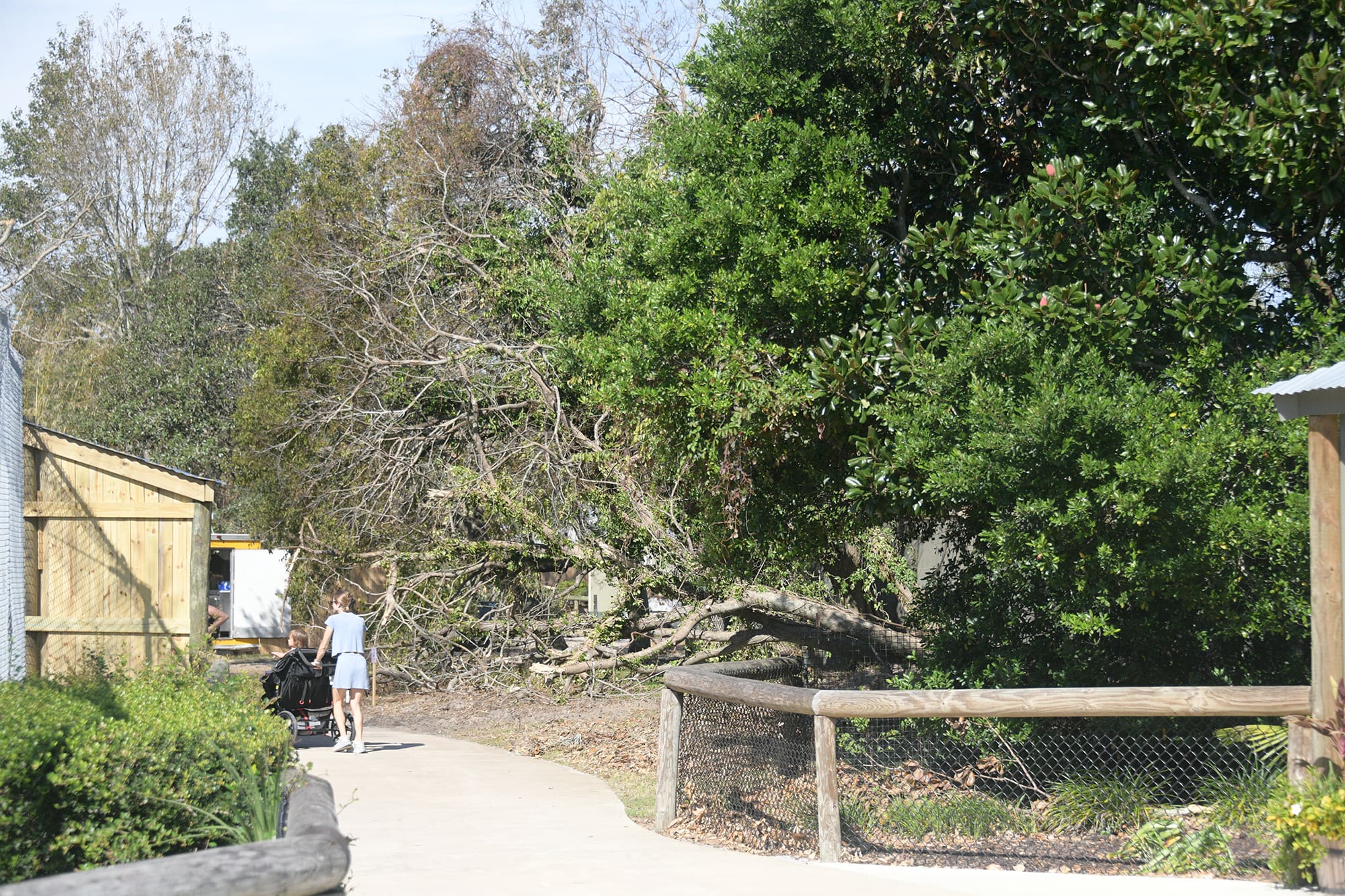 Gulf Breeze Zoo reopens after week of hurricane cleanup | Navarre Press