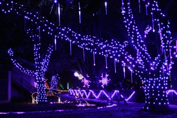 christmas lights
