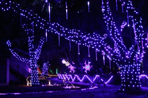christmas lights