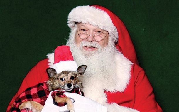 Santa